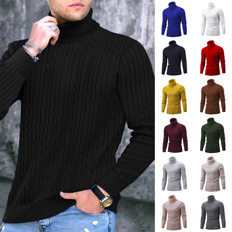 Herren eleganter Rollkragenpullover mit exquisiter Zopfmusterstruktur Aliams