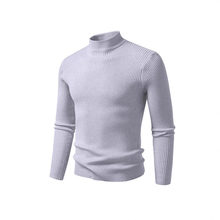 Herren Rollkragenpullover aus strukturiertem Strickmaterial Aliams