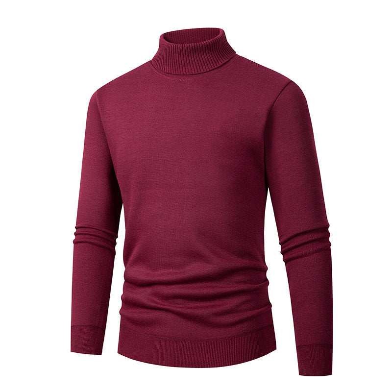 Herren eleganter Rollkragenpullover aus hochwertigem Material Aliams