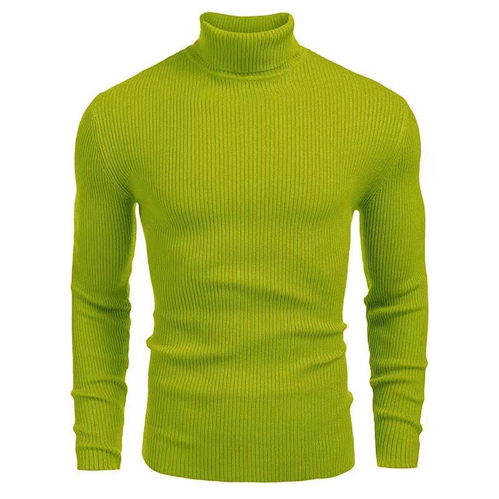 Herren Rollkragenpullover mit strukturiertem Rippenmuster Aliams