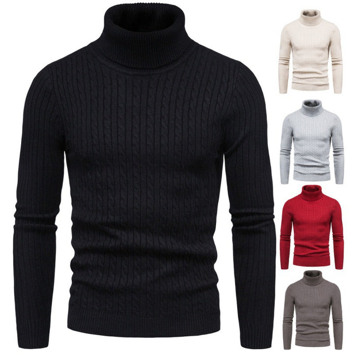 Herren Rollkragenpullover mit Zopfmuster Aliams
