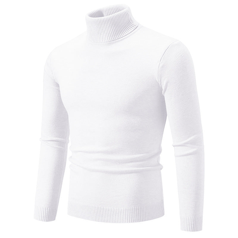 Herren eleganter Rollkragenpullover aus feiner Baumwolle Aliams