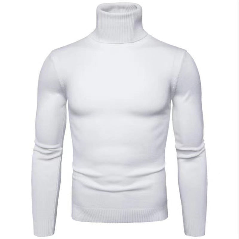 Herren Rollkragenpullover aus hochwertiger Baumwolle Aliams