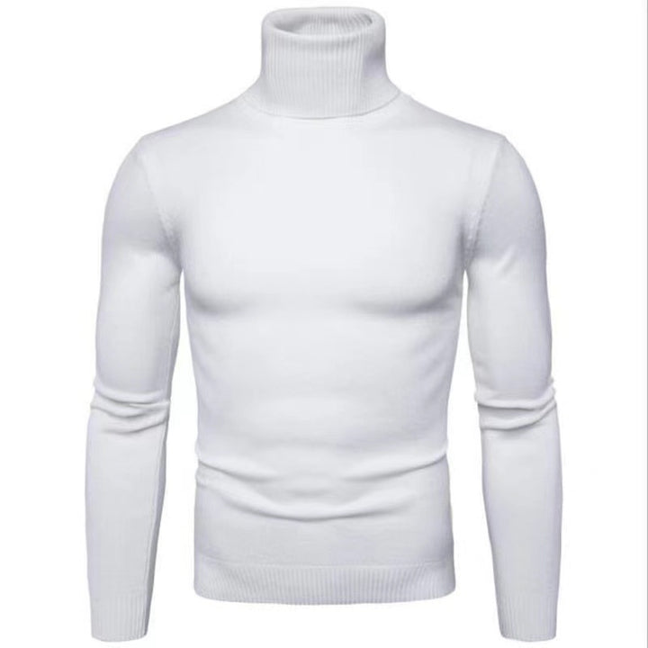 Herren Rollkragenpullover aus hochwertiger Baumwolle Aliams