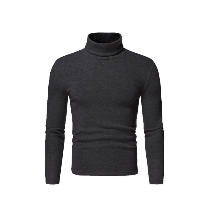 Herren Rollkragenpullover aus weichem Stretchmaterial Aliams