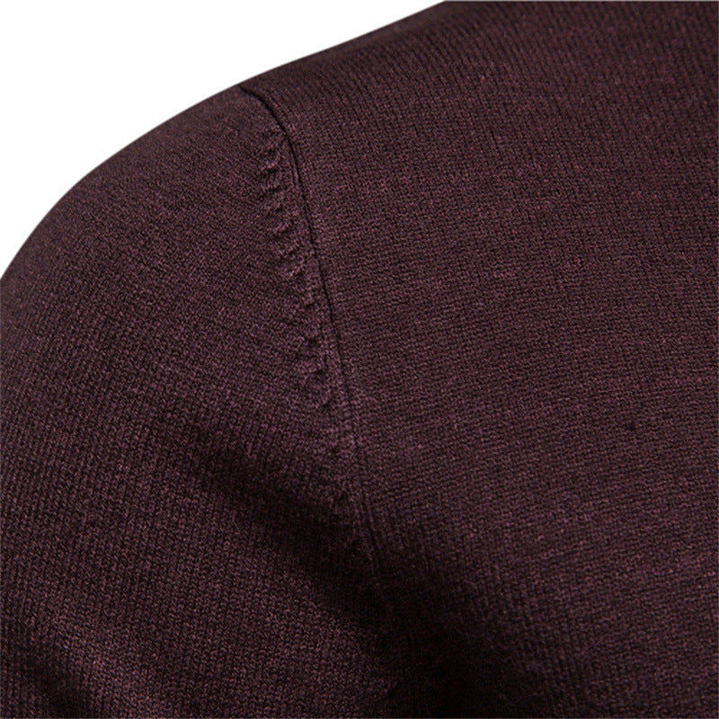 Herren stilvoller Rollkragenpullover aus weicher Merinowolle Aliams