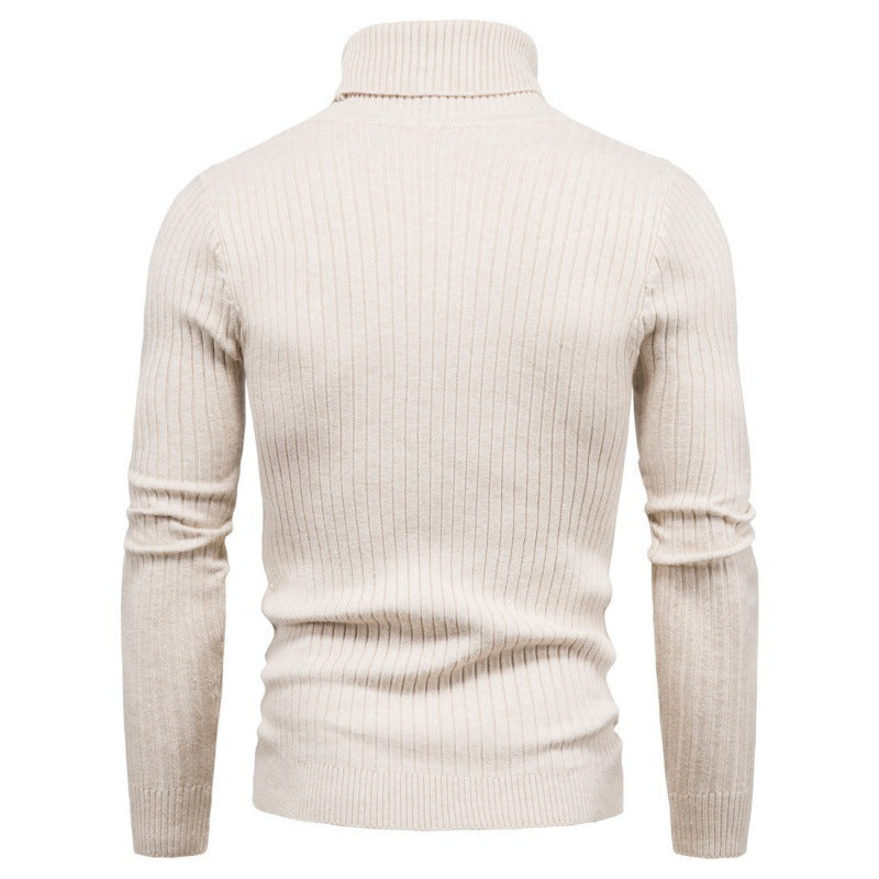 Herren Rollkragenpullover mit Zopfmuster Aliams
