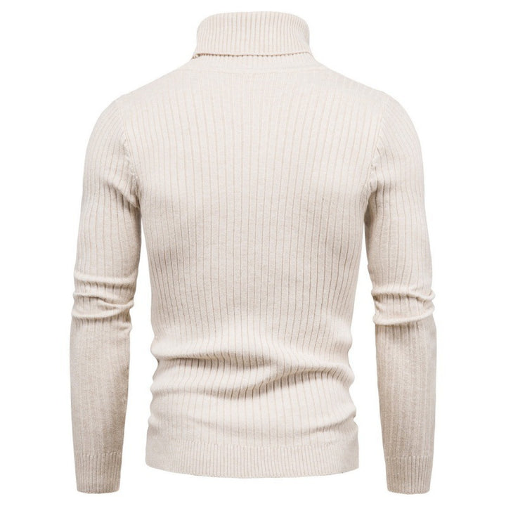 Herren Rollkragenpullover mit Zopfmuster Aliams