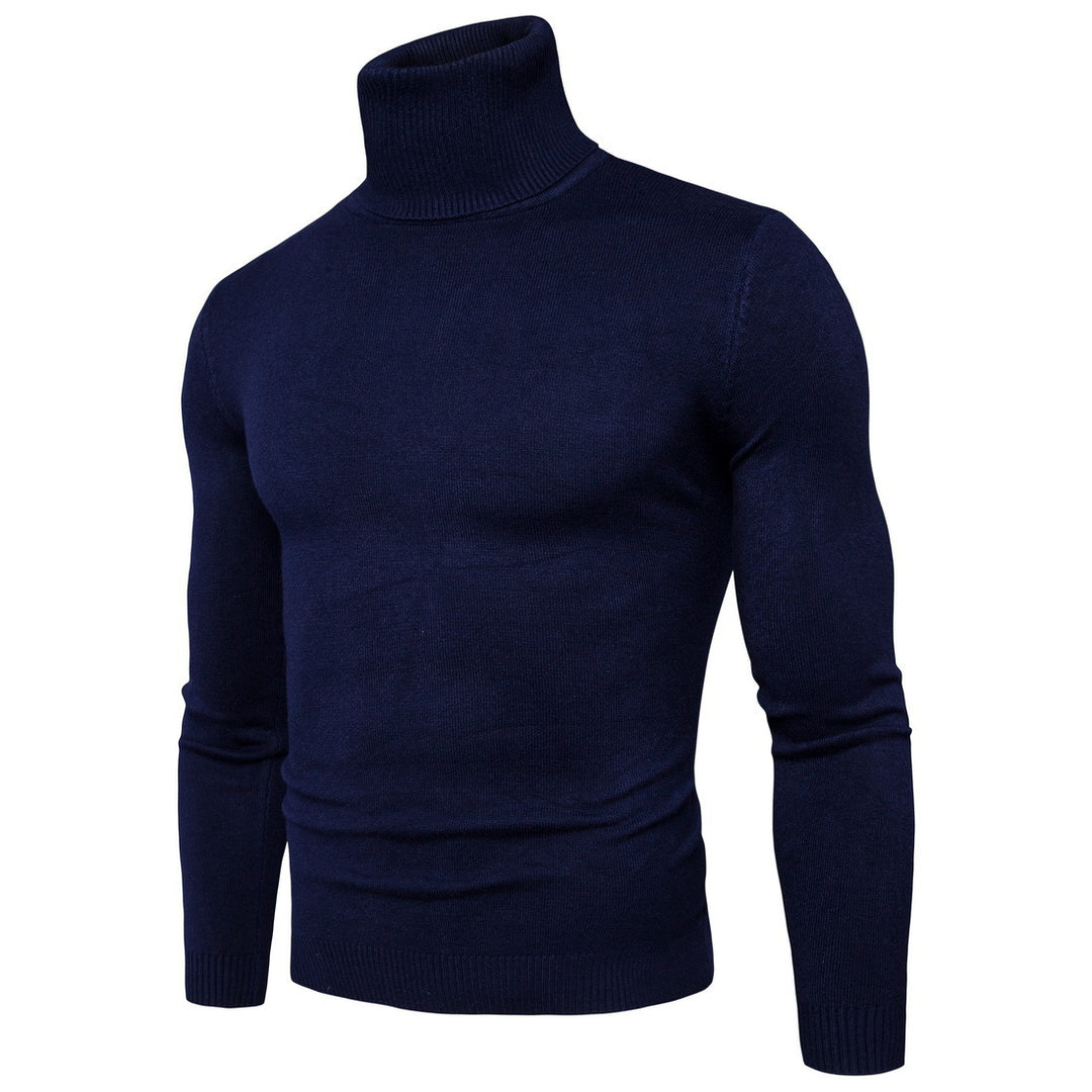Herren Rollkragenpullover aus feiner Merinowolle Aliams