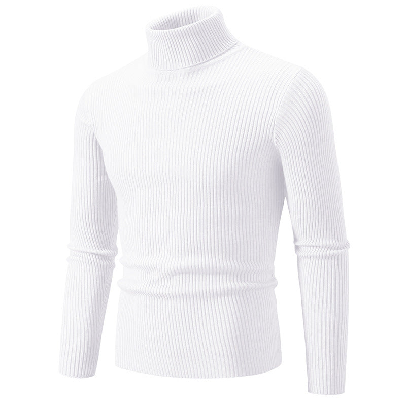 Herren feiner Rollkragenpullover aus langlebigem Strickmaterial Aliams