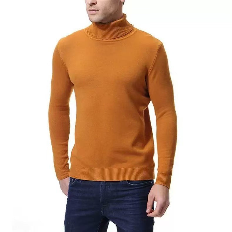 Herren Rollkragenpullover aus feiner Baumwolle Aliams