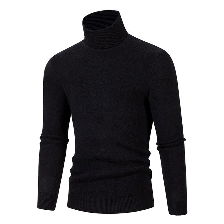 Herren Rollkragenpullover aus weichem Material Aliams