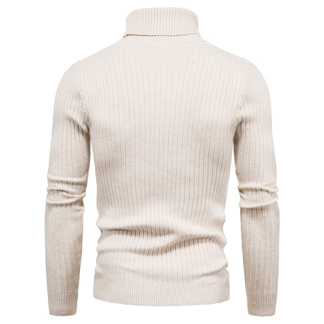 Herren komfortabler Rollkragenpullover Aliams