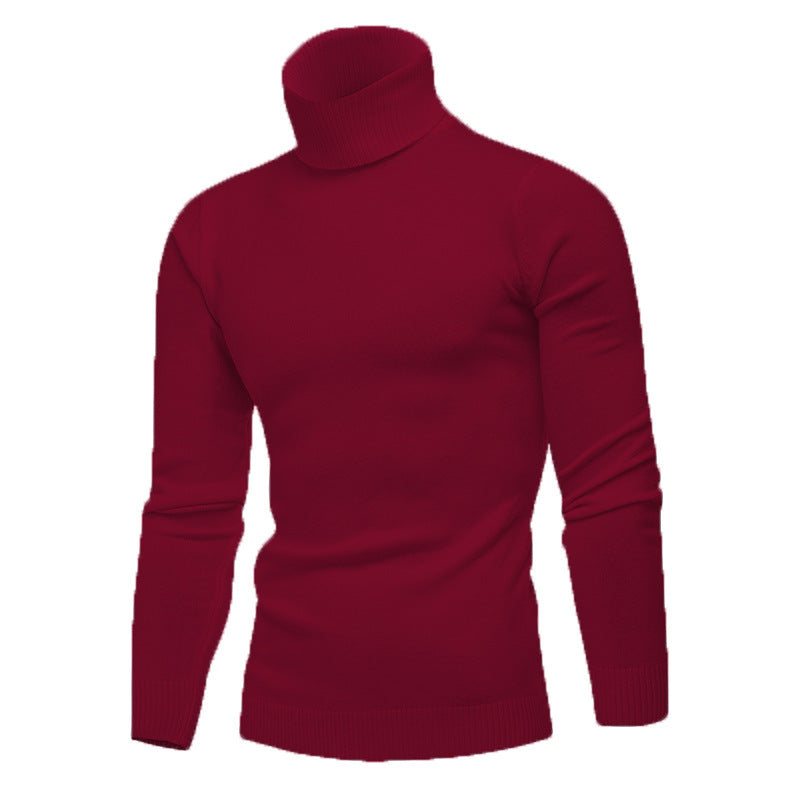 Herren Rollkragenpullover aus feiner Baumwolle mit figurbetontem Schnitt Aliams