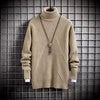 Herren Rollkragenpullover mit gerippter Struktur Aliams