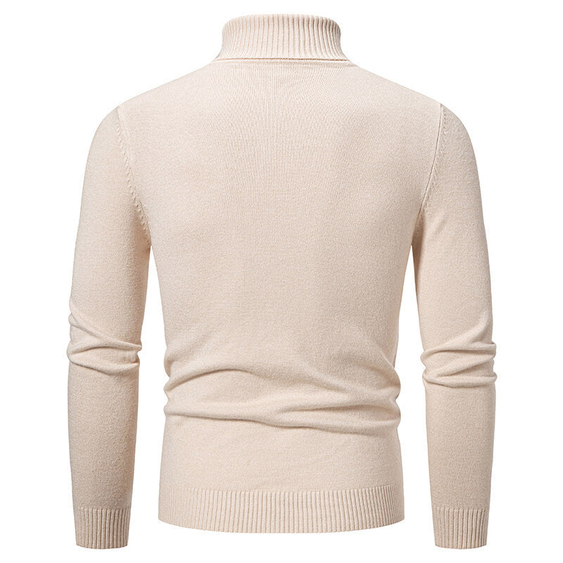 Herren Rollkragenpullover mit strukturiertem Zopfdesign Aliams