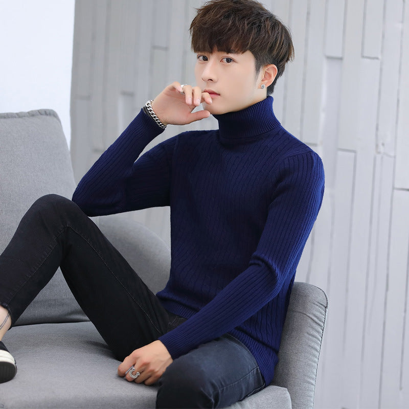 Herren Eleganter Rollkragenpullover mit Rippmuster Aliams