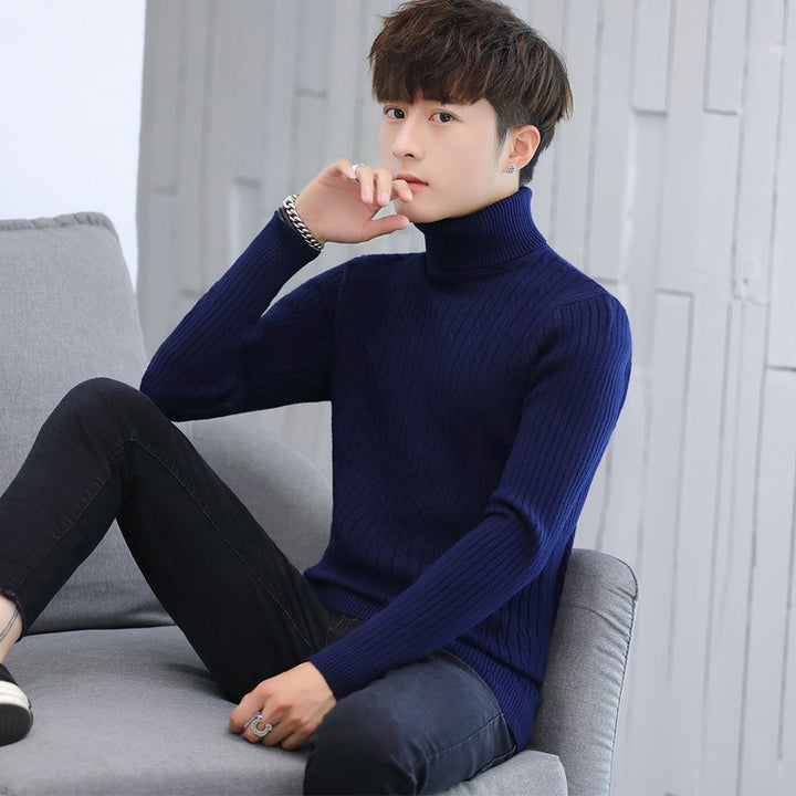 Herren Eleganter Rollkragenpullover mit Rippmuster Aliams