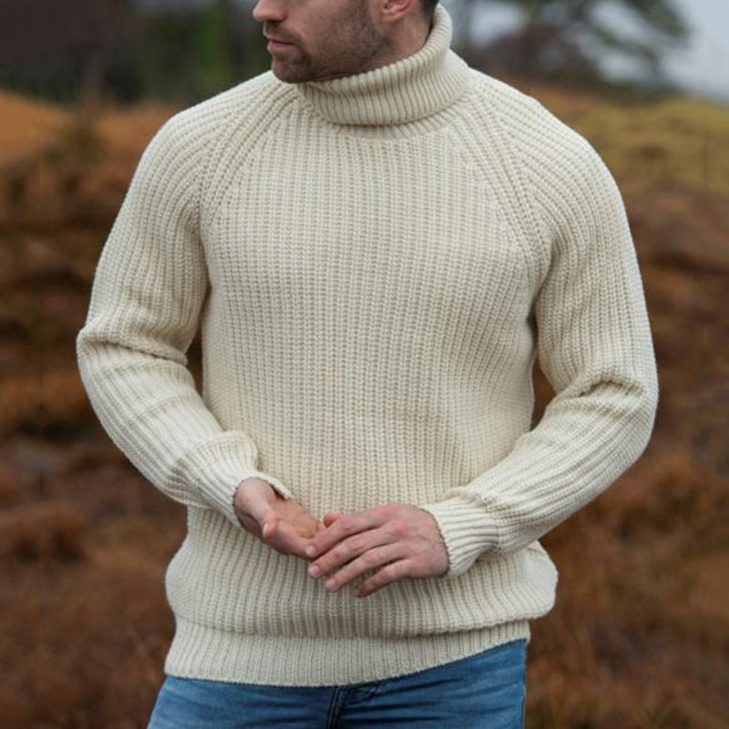 Herren Grobstrick-Pullover mit hochklappbarem Rollkragen Aliams