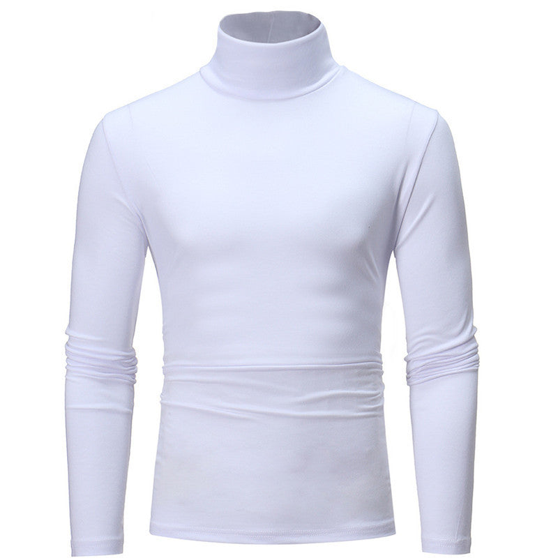 Herren Rollkragenpullover Aliams
