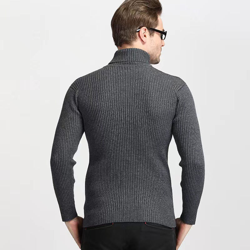 Herren Rollkragenpullover aus feinem Rippstrick Aliams