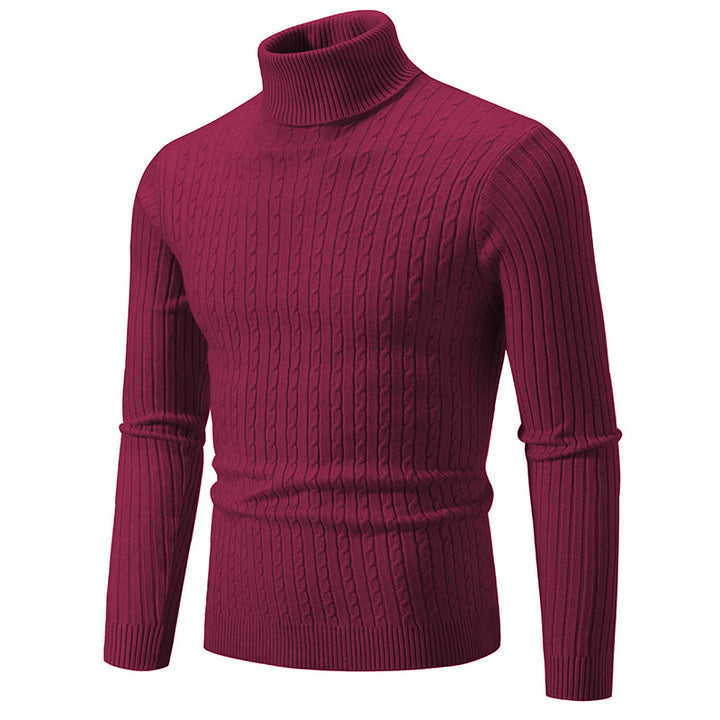 Herren Rollkragenpullover mit strukturiertem Zopfmuster Aliams