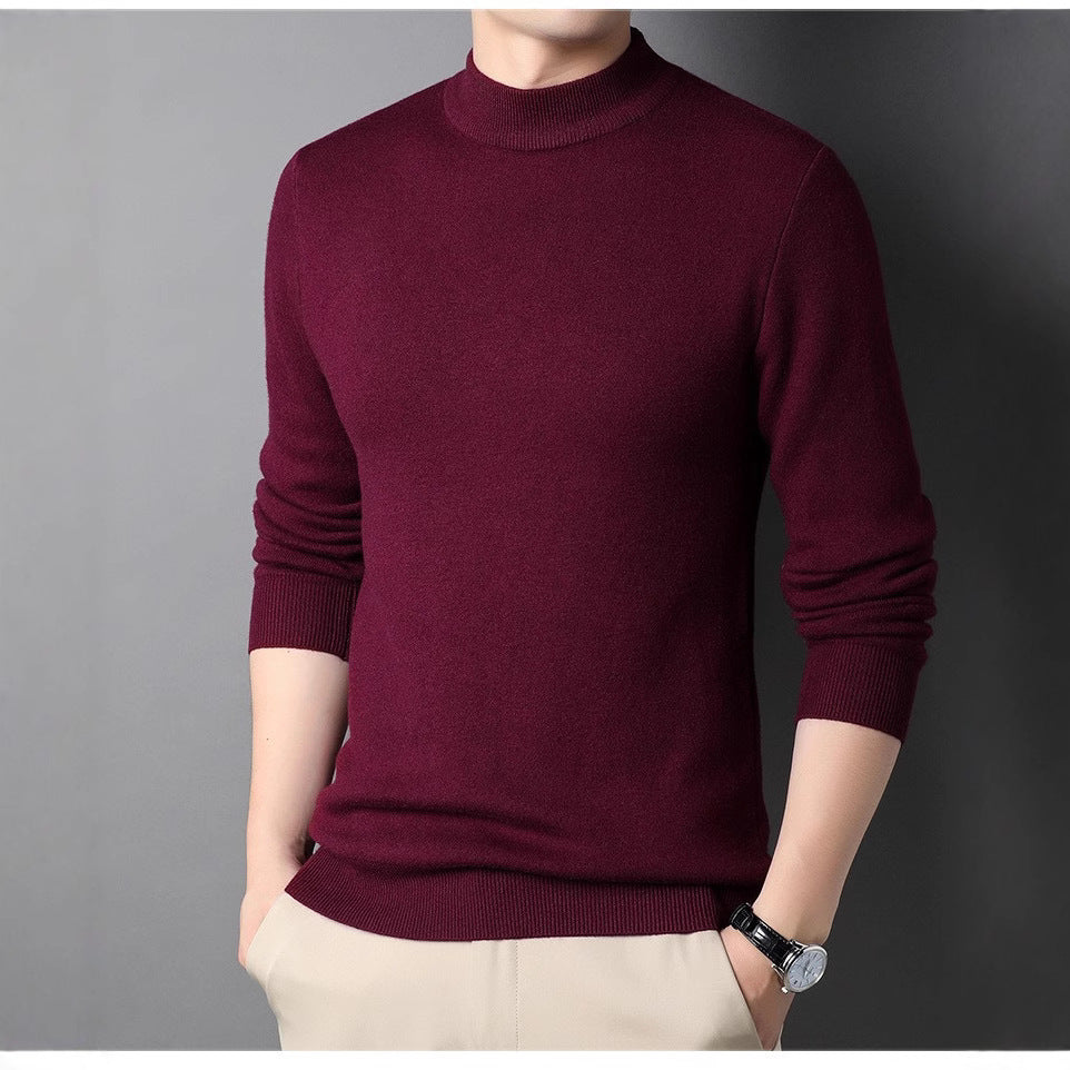 Herren Feinstrickpullover mit Rollkragen und soften Materialien Aliams
