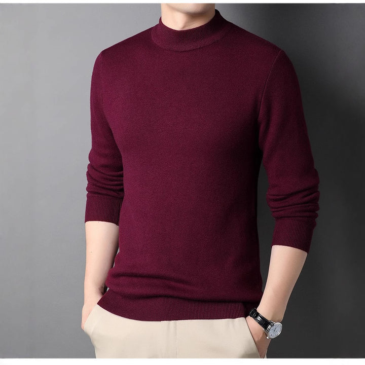 Herren Feinstrickpullover mit Rollkragen und soften Materialien Aliams