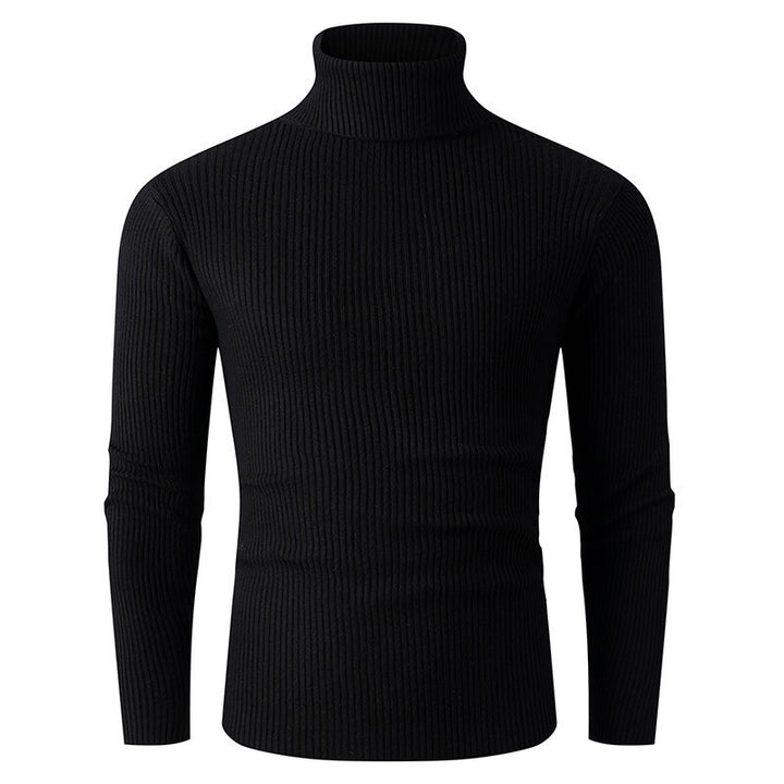 Herren eleganter Rollkragenpullover aus strukturiertem Strickmaterial Aliams