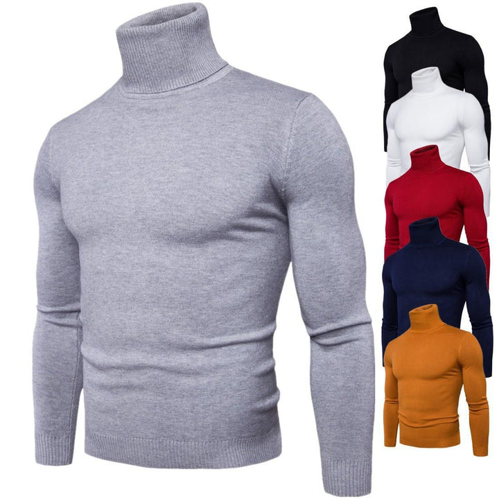 Herren Rollkragenpullover aus weichem Merinowolle Aliams
