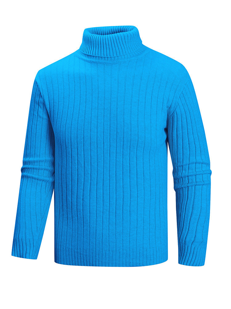 Herren Rollkragenpullover aus hochwertigem Feinstrick Aliams