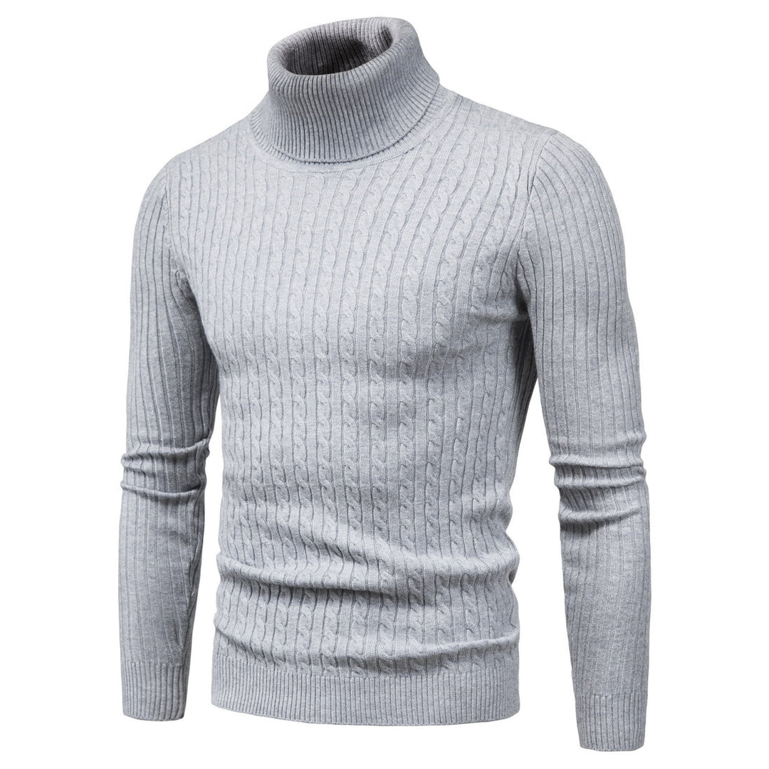 Herren komfortabler Rollkragenpullover Aliams