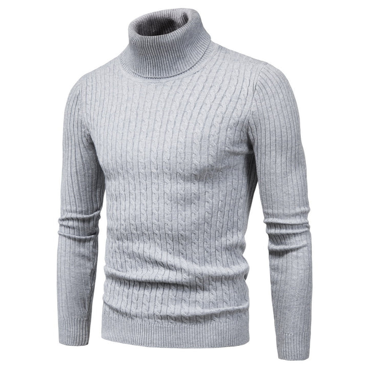 Herren komfortabler Rollkragenpullover Aliams