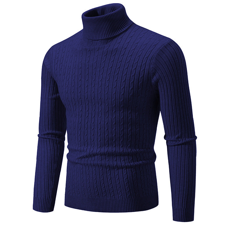 Herren Rollkragenpullover mit strukturiertem Strickmuster Aliams