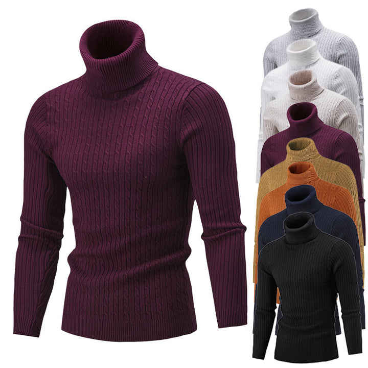 Herren Rollkragenpullover aus hochwertigem Strick Aliams
