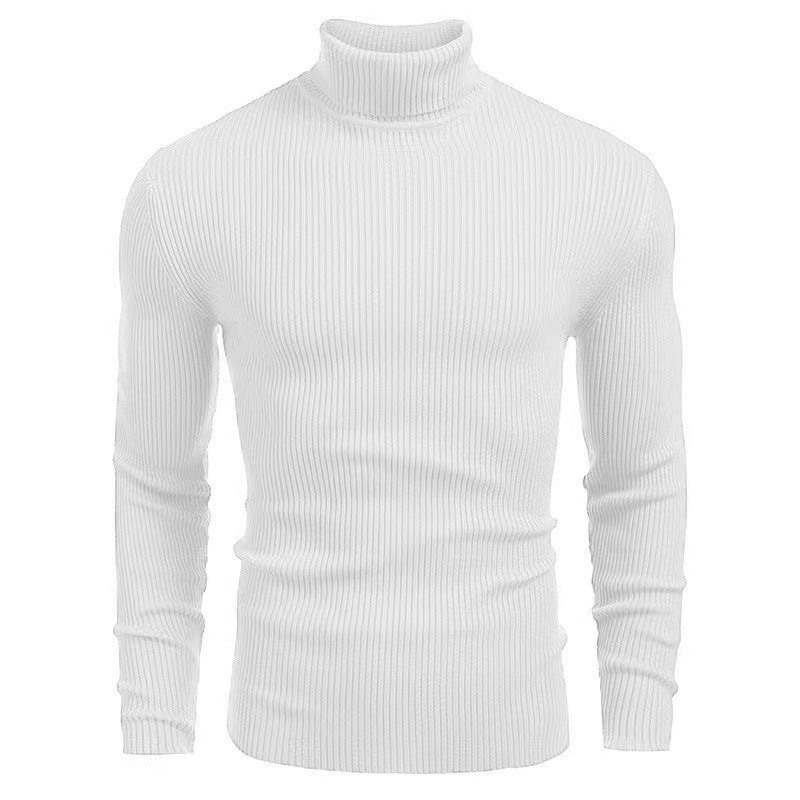 Herren Rollkragenpullover mit feiner Rippenstruktur und hohem Tragekomfort Aliams