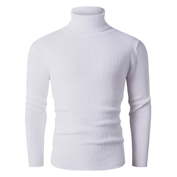 Herren eleganter Rollkragenpullover aus strukturiertem Strickmaterial Aliams