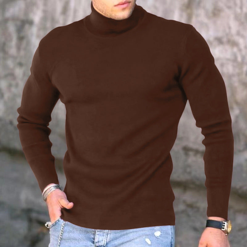 Herren eleganter Rollkragenpullover Aliams
