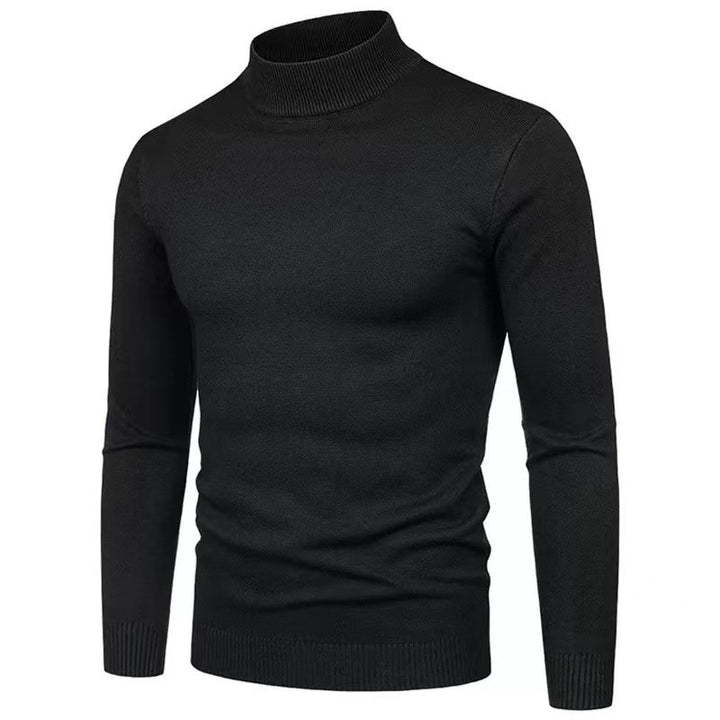 Herren Rollkragenpullover aus hochwertigem Strickmaterial Aliams