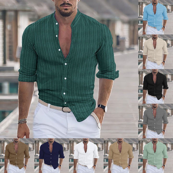 Herren Freizeit-Hemd mit strukturiertem Design und modernem Stehkragen Aliams