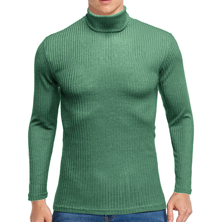 Herren Rollkragenpullover aus feiner Rippenstruktur Aliams