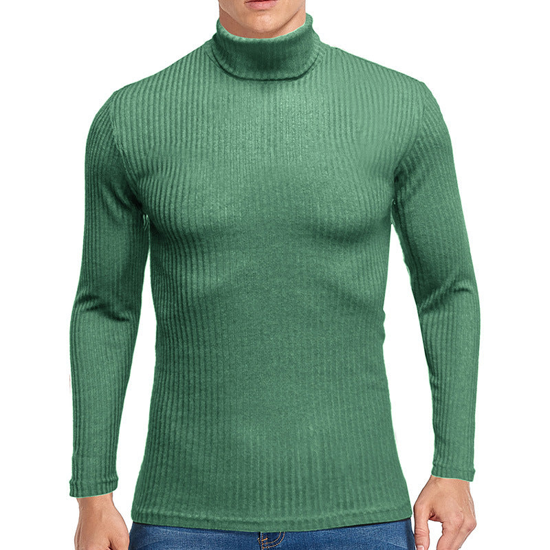 Herren Rollkragenpullover Aliams