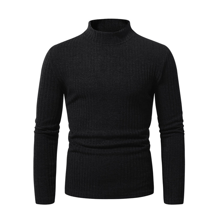 Herren feinstrickender Rollkragenpullover Aliams