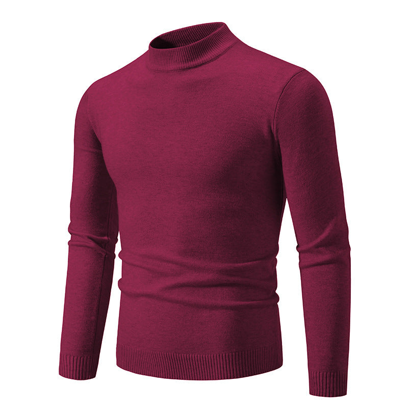 Herren Rollkragenpullover aus weichem Strickmaterial Aliams