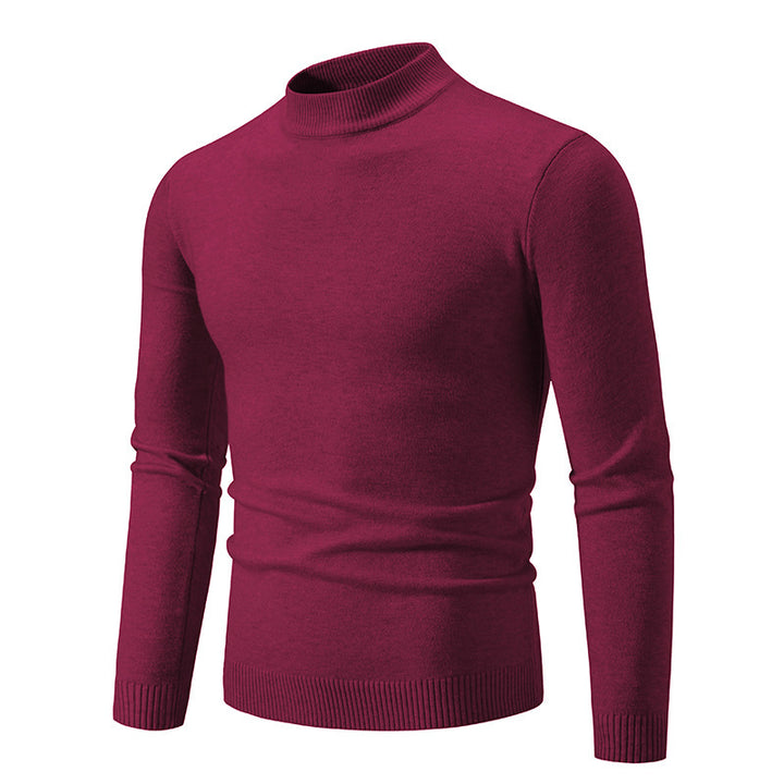 Herren Rollkragenpullover aus weichem Strickmaterial Aliams