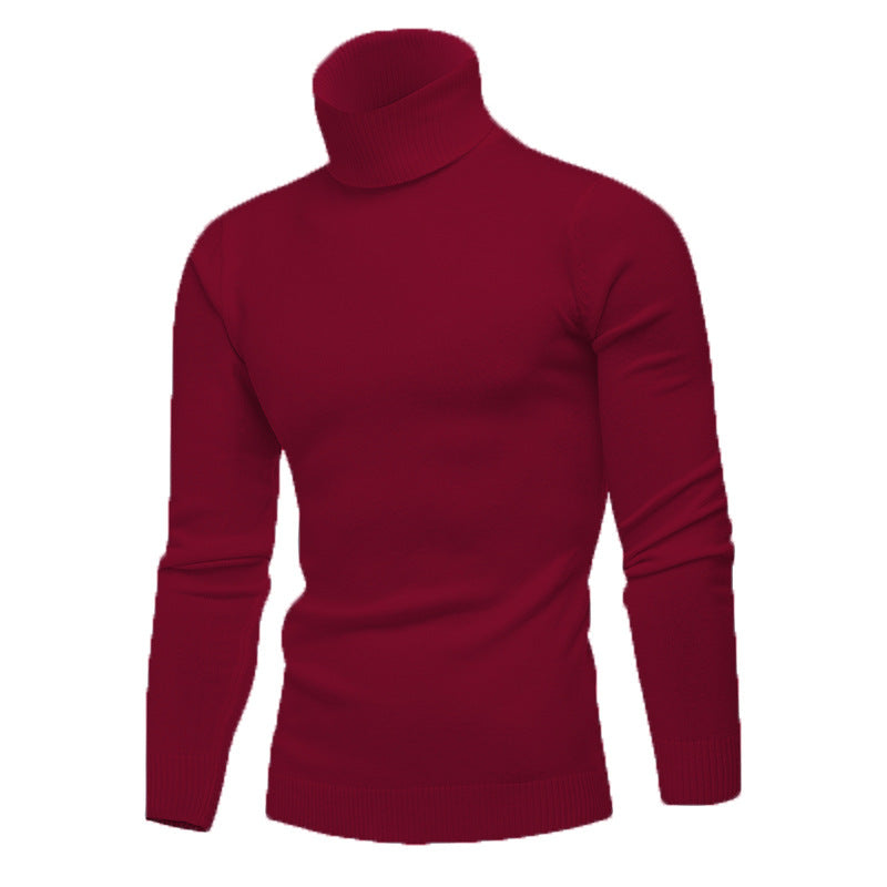 Herren Strickpullover mit hohem Kragen Aliams