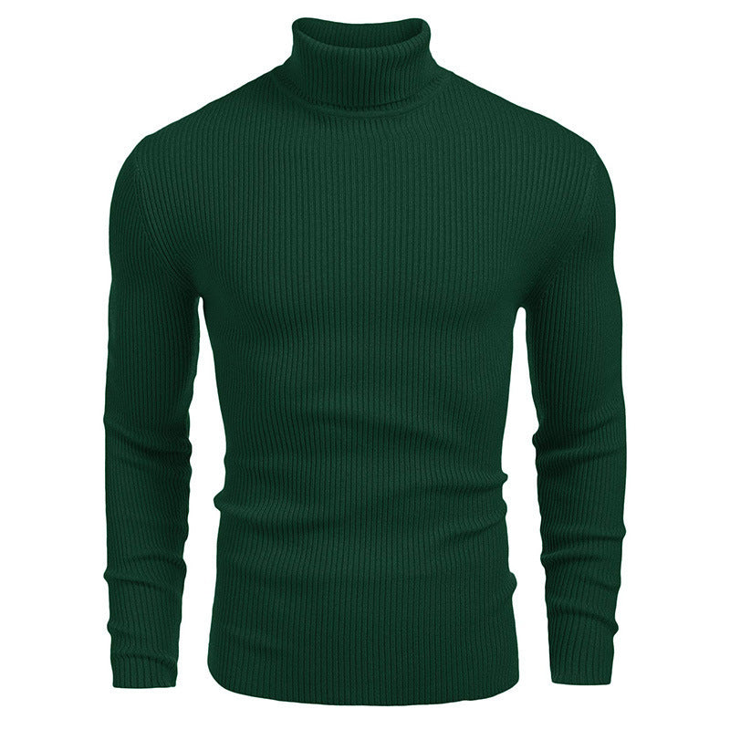 Herren Rollkragenpullover mit strukturiertem Rippenmuster Aliams