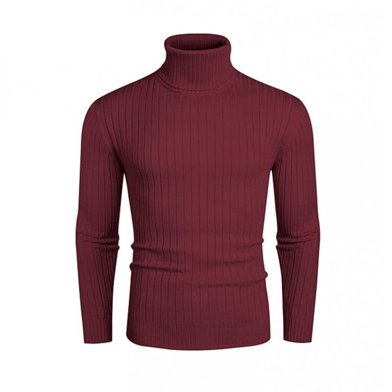 Herren Rollkragenpullover mit geripptem Design Aliams