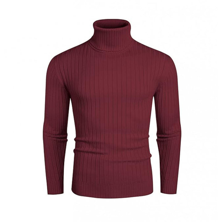 Herren Rollkragenpullover mit geripptem Design Aliams