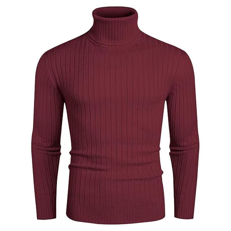 Herren Rollkragenpullover aus elastischem Strickmaterial mit feinem Rippendesign Aliams